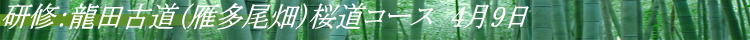 研修：龍田古道（雁多尾畑）桜道コース　4月9日 